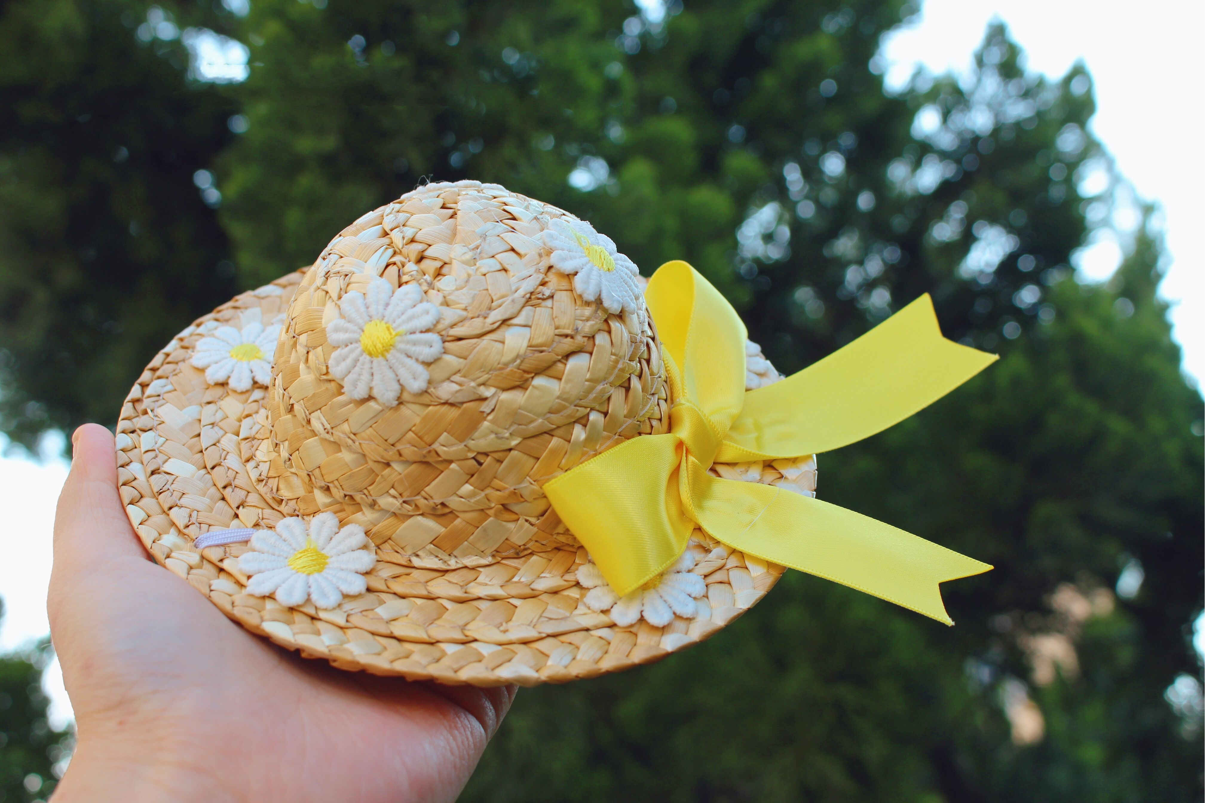 princess style kitten dress breathable mesh pet clothing PawElara