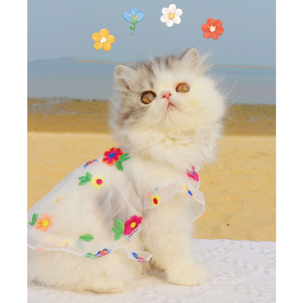 cute mesh cat dress with floral design stylish pet wear PawElara
